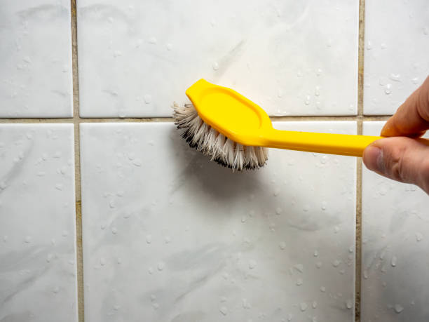 Best Emergency Mold Remediation in Hudson, IL
