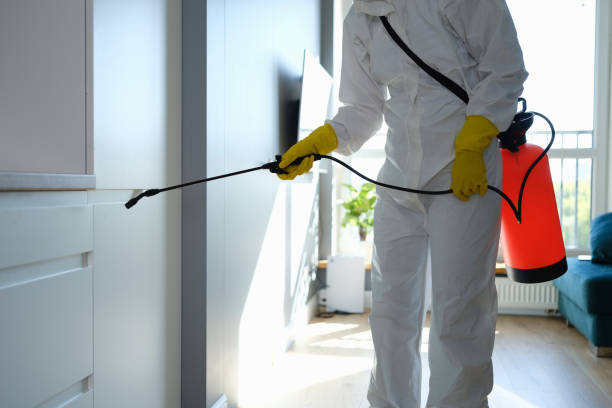  Hudson, IL Mold Removal Pros