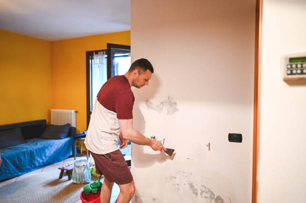 Best Commercial Mold Remediation in Hudson, IL